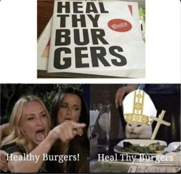 burger caturday majorgeeks.jpg